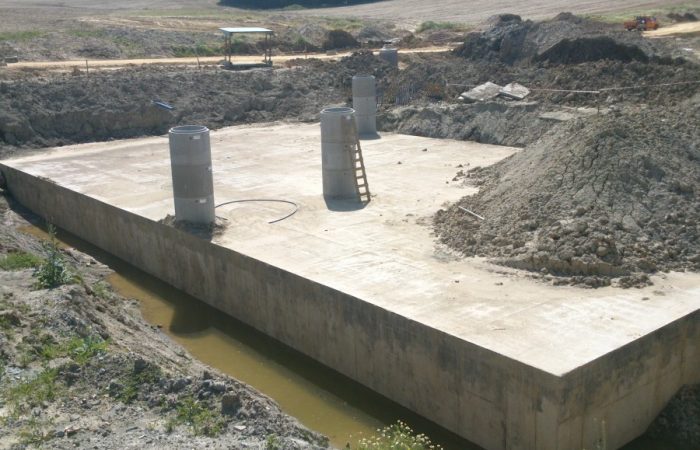 jasienica